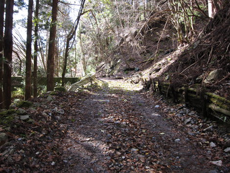 20191129hike (31)